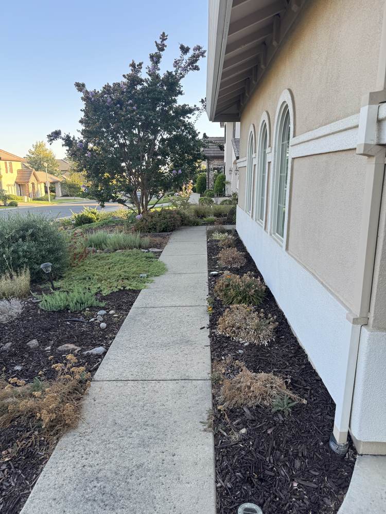 Whitney Oaks frontage before renovation, September 2024